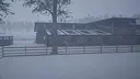 Giddy Up Screenshot 10