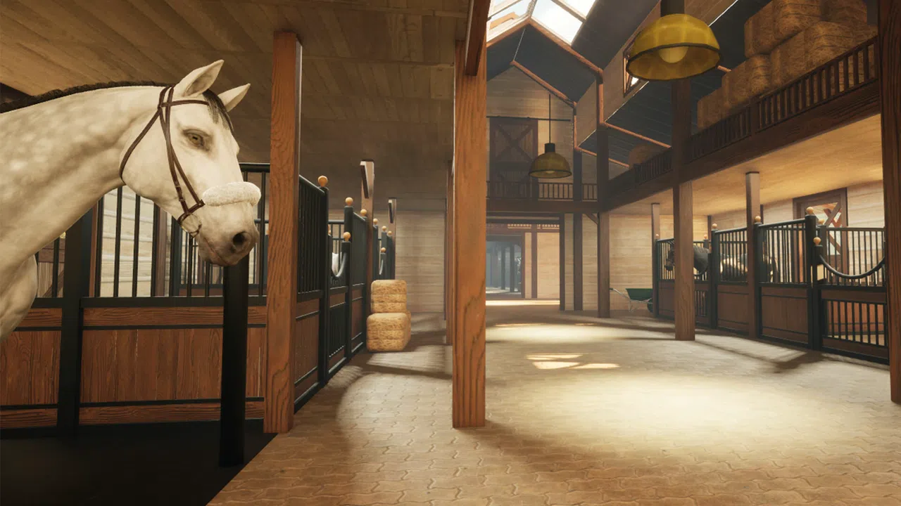 Giddy Up Screenshot 0