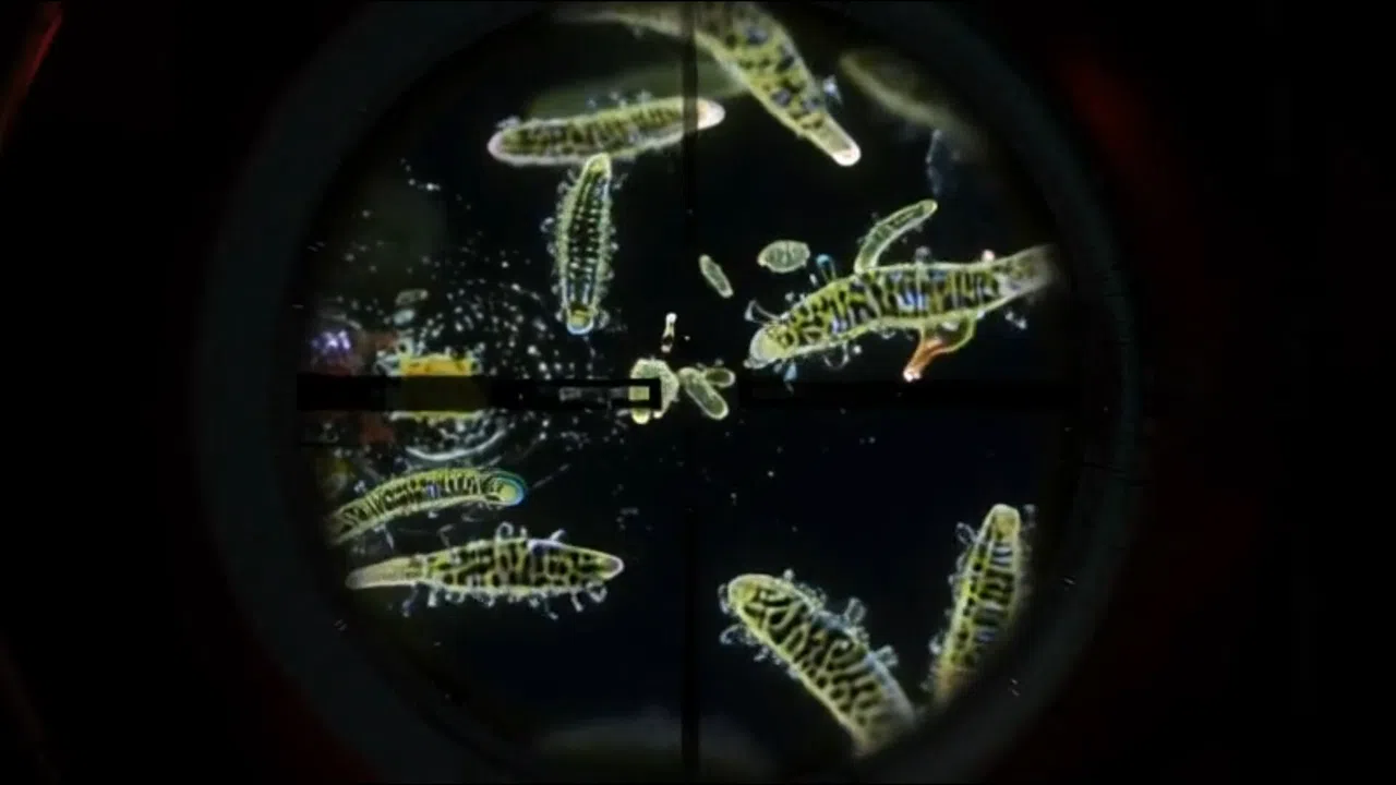 Scientist Simulator Screenshot 7