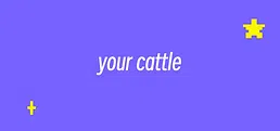 your cattle