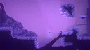 Rainbound Screenshot 3