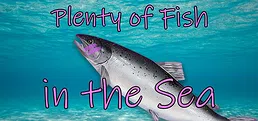 Plenty of Fish in the Sea
