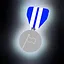 The Punisher icon