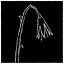 Plantkiller icon