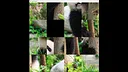 hgmGame-panda Screenshot 2