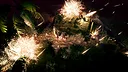 The Silent Jungle Screenshot 0