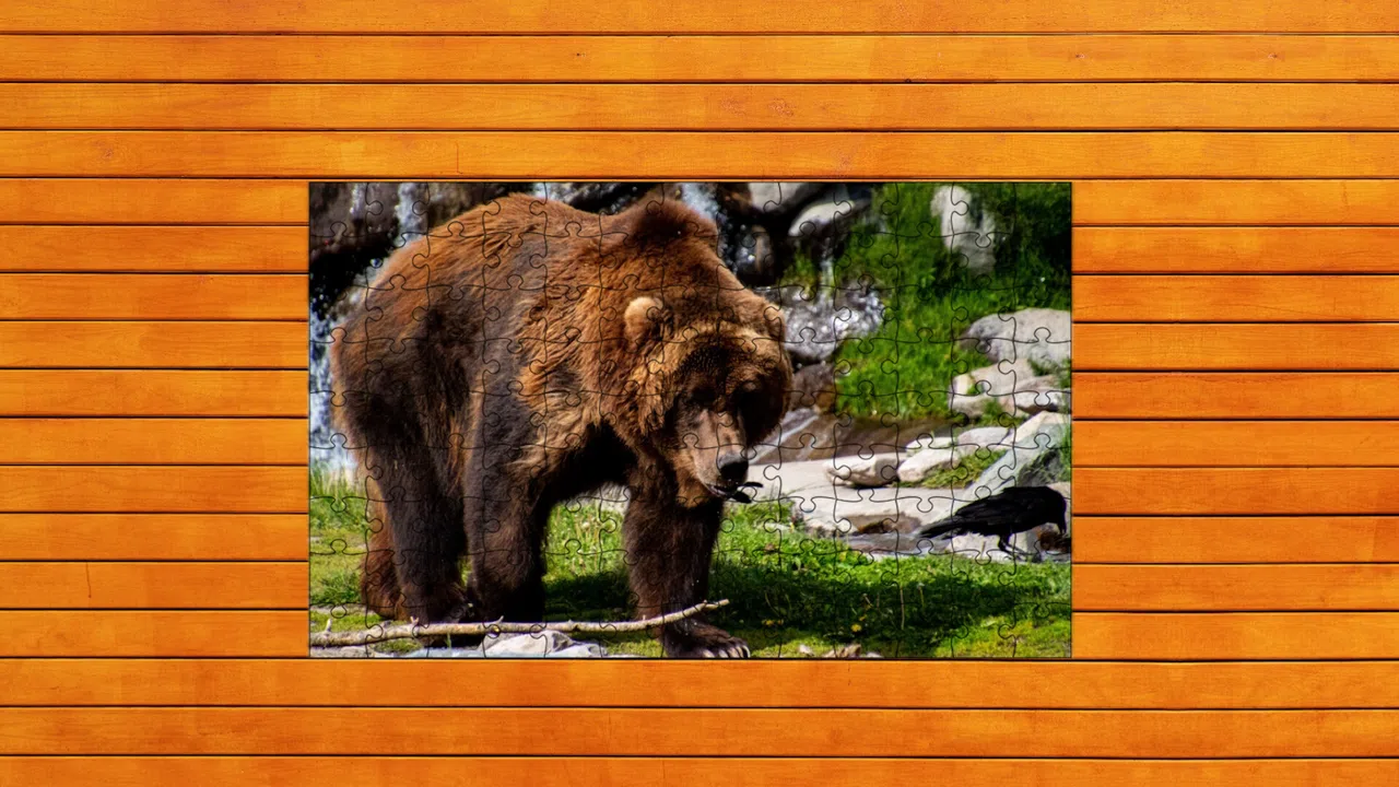 Bear vs. Wolf Jigsaw Puzzle Screenshot 3