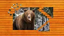 Bear vs. Wolf Jigsaw Puzzle Screenshot 1