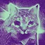 IT'S OVER 9000! icon