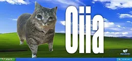 oiia