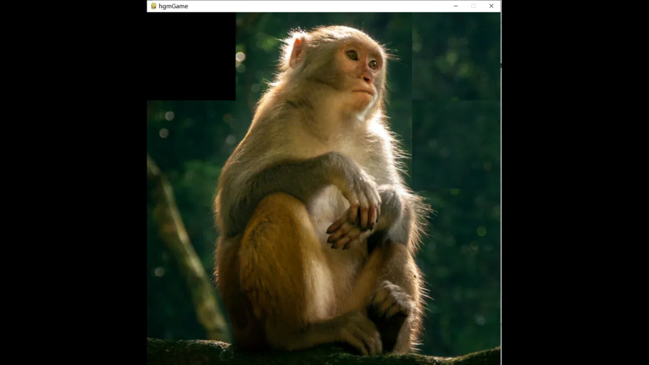 hgmGame-monkey Screenshot 1