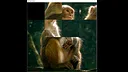 hgmGame-monkey Screenshot 2