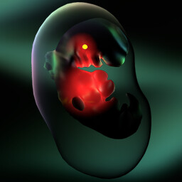 Complete Level 9 icon