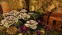 Clod & Desire Screenshot 4