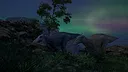 Evolution Of The Ancients Screenshot 8
