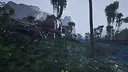 Evolution Of The Ancients Screenshot 10