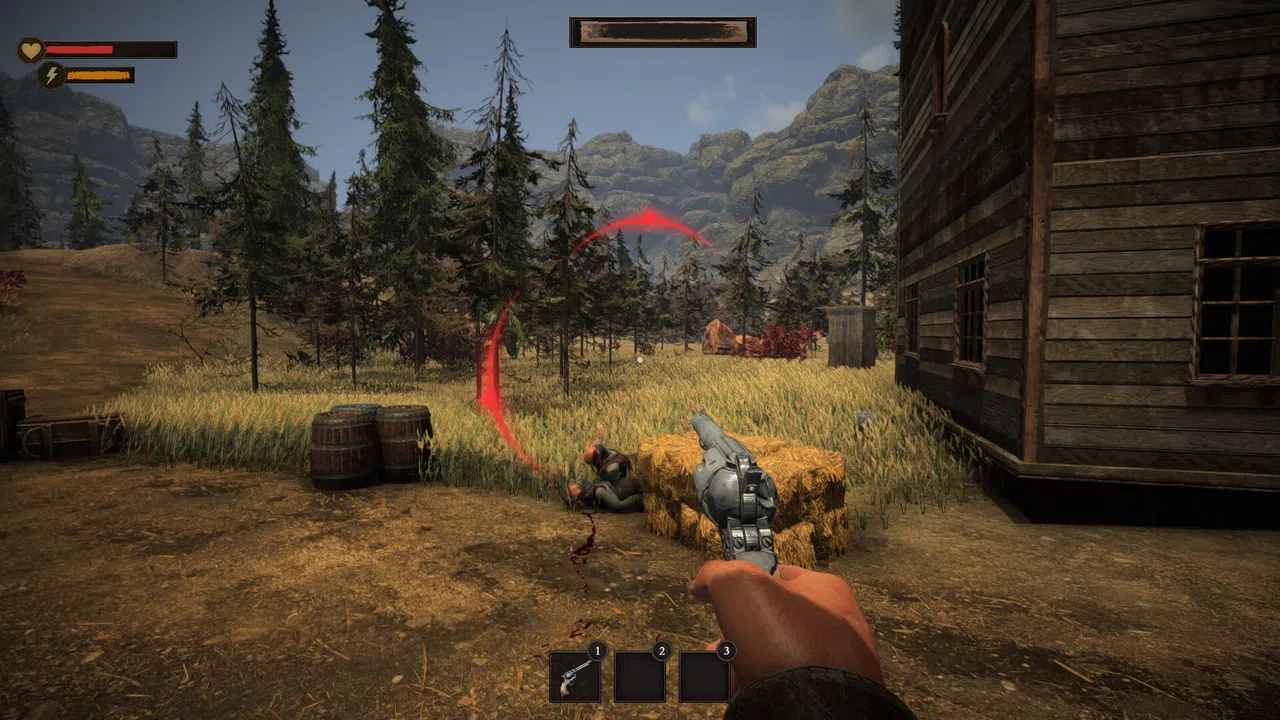 Western Justice Screenshot 1