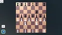 Chess Bulk Screenshot 1