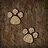 The Footprint