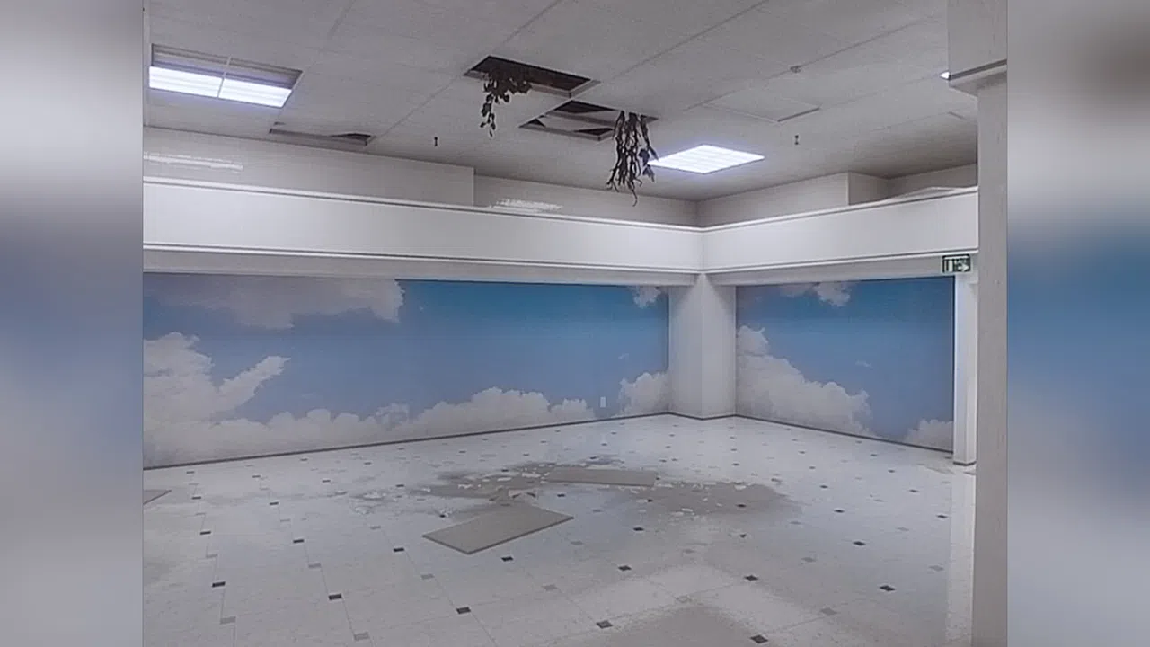 Facility of Dusk Screenshot 1