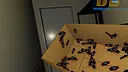 FEAR OF BUGS 2 Screenshot 1