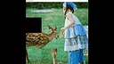 deer Screenshot 0