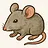 Rat