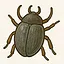 Beetle icon