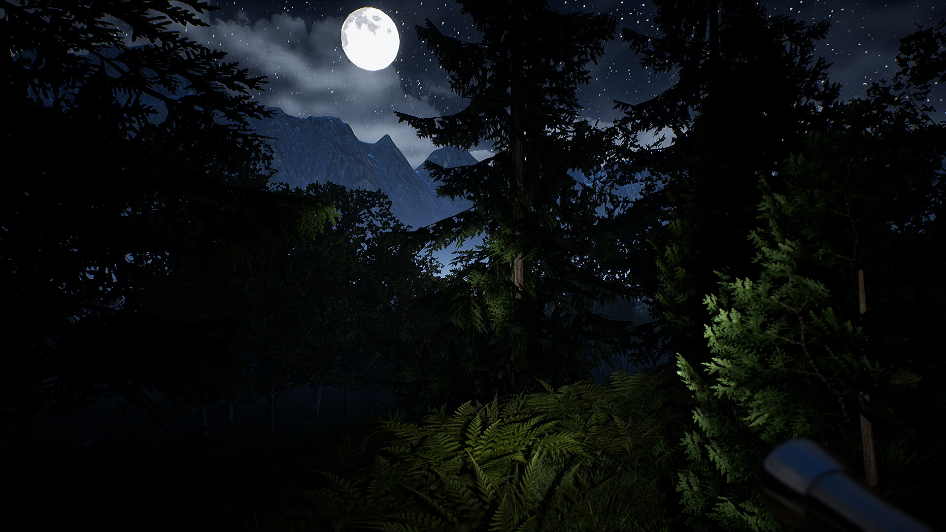 Campfire: Night One Screenshot 11