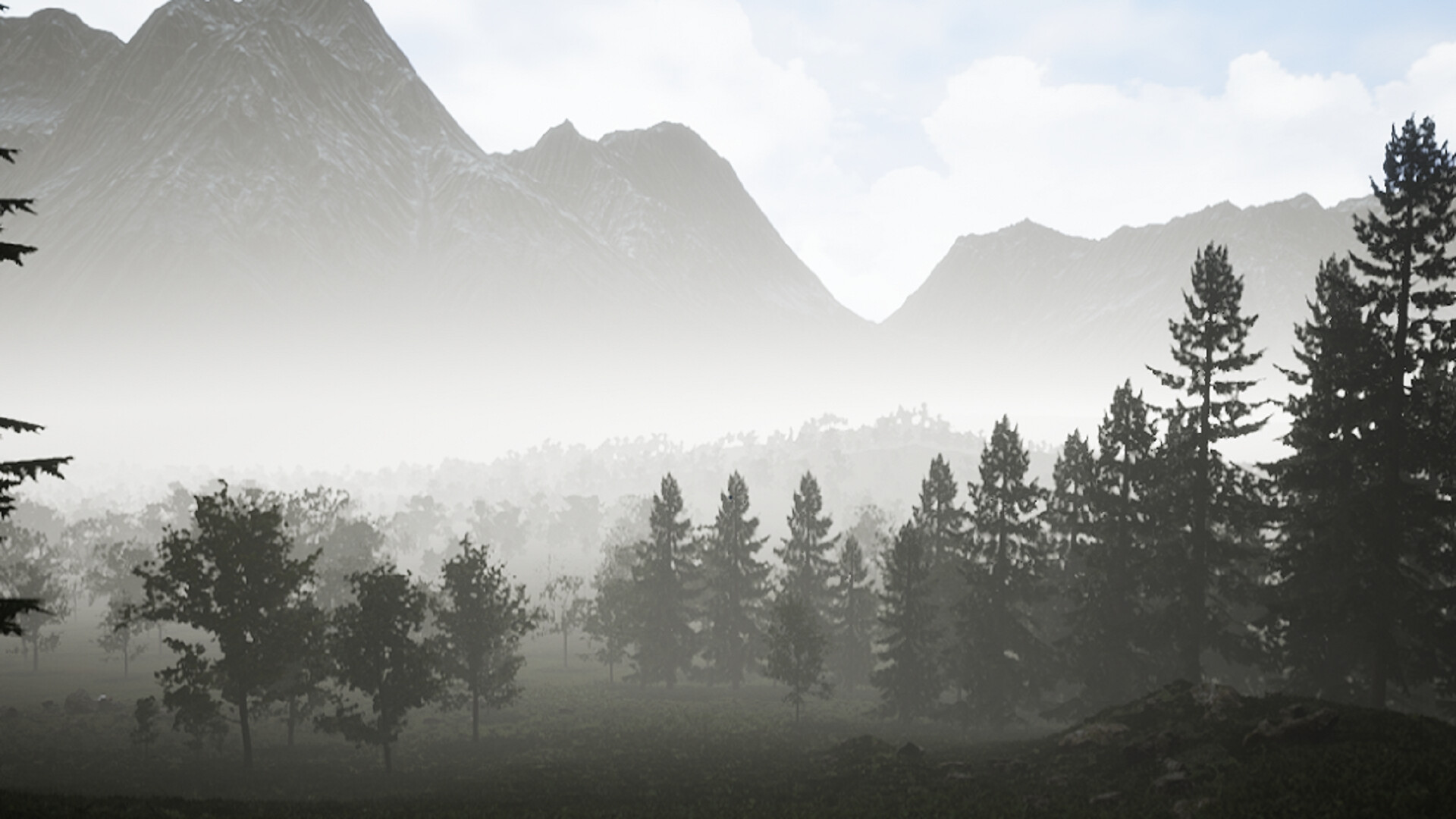 Campfire: Night One Screenshot 15