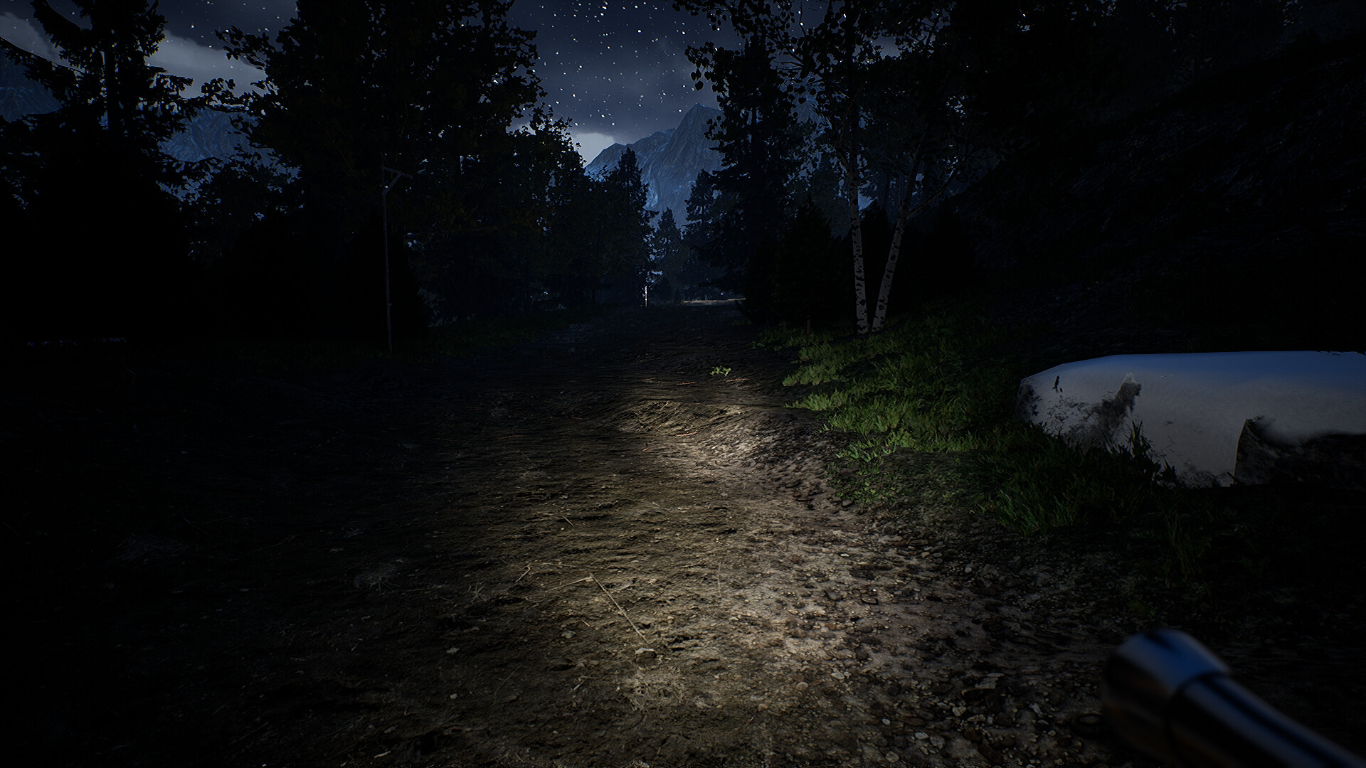 Campfire: Night One Screenshot 10
