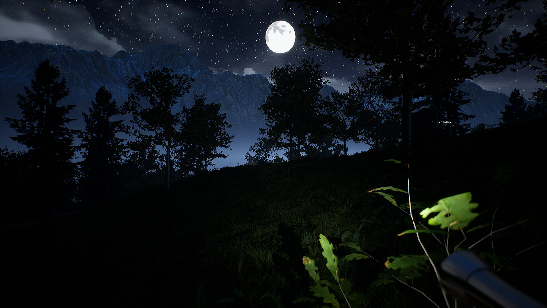 Campfire: Night One Screenshot 0