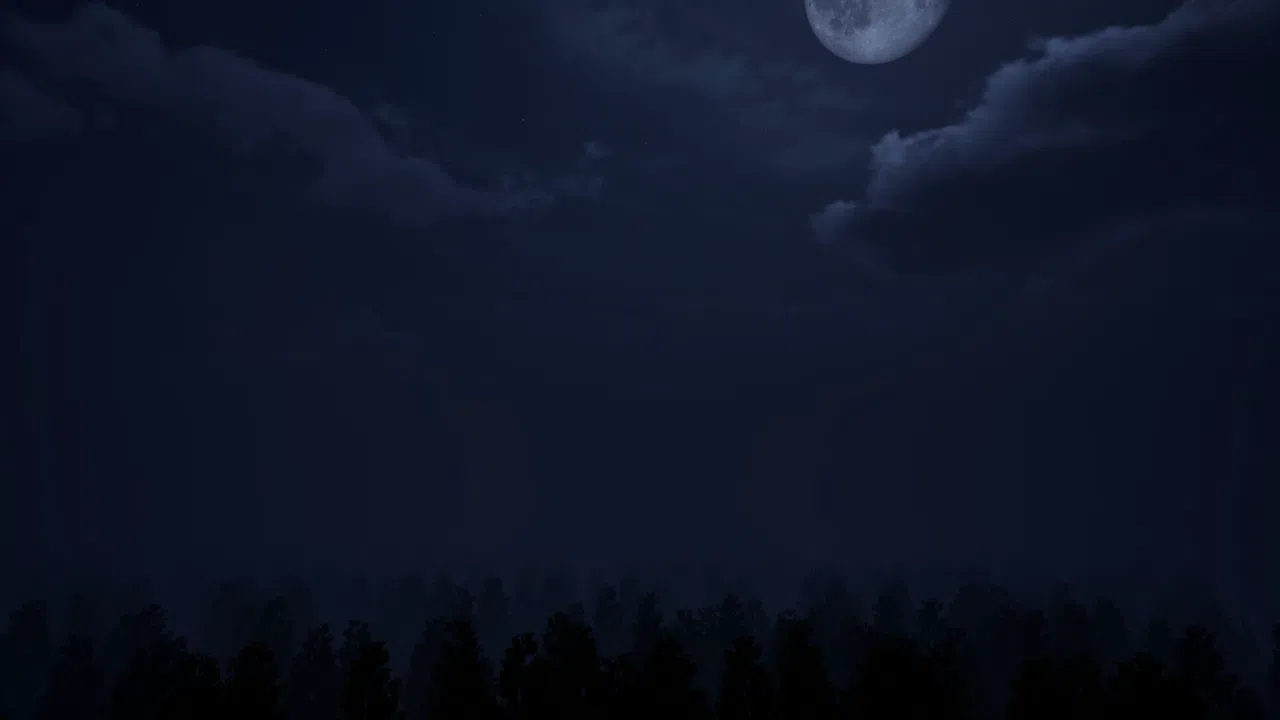 Insanity Within Screenshot 11