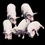 Pig King icon