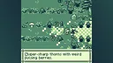 Radio Ghosts Demo Screenshot 5