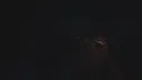 DEMONK Screenshot 5