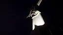 Corcovado's Night Guard Screenshot 1