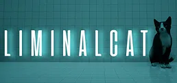 LIMINAL CAT