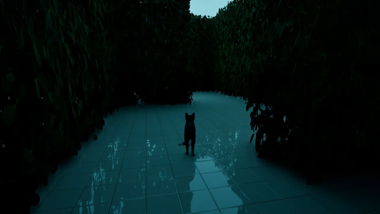 LIMINAL CAT Screenshot 5