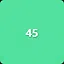 Forty-Fifth icon