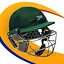 South African 20 Over League icon
