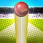 Win the Test Match Championship icon