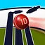 10 wickets in an innings for a single bowler icon