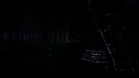 Forest Screenshot 0
