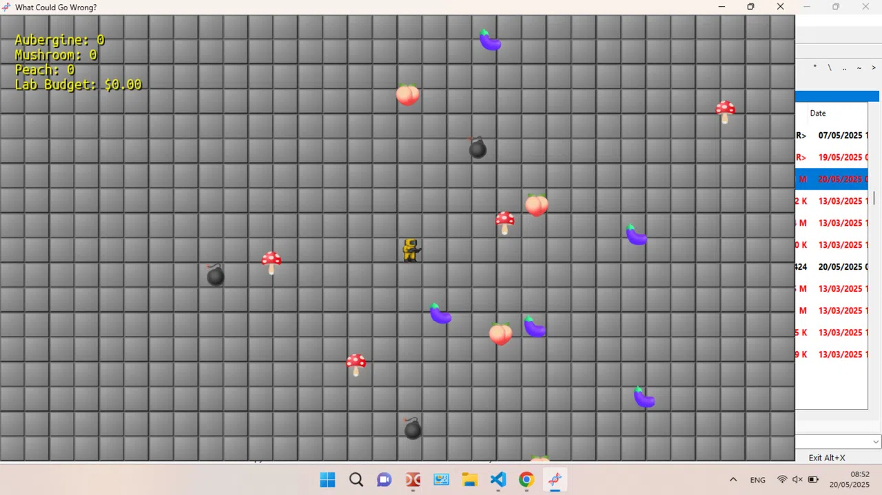 What Could Go Wrong? Screenshot 2