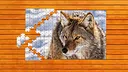 Bear vs. Wolf Jigsaw Puzzle - Expansion Pack 4 Screenshot 0