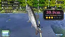 Reel it! Fishing Screenshot 0