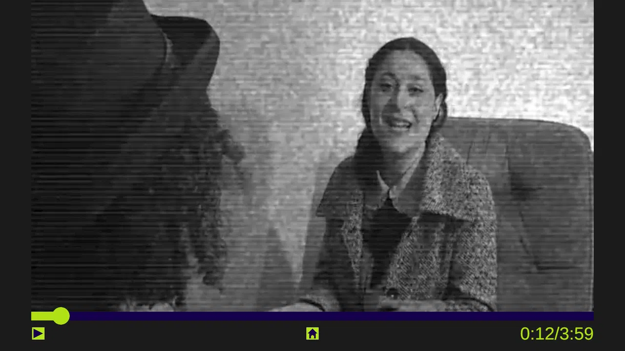 Radley Ravencroft's Spy Web Mystery Screenshot 3