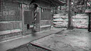 Zombie Police: Midsummer Unhappy New Year Screenshot 4