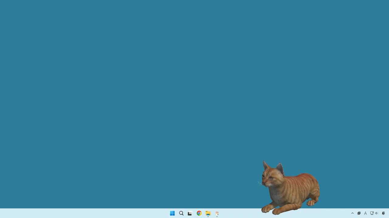 desktop my cat Screenshot 2